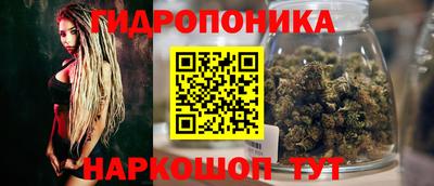 PSILOCYBIN Краснодар