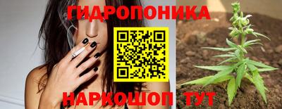 мдпв Краснознаменск