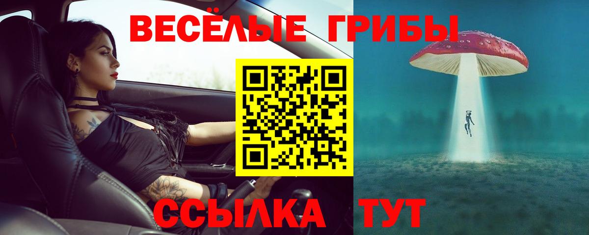 Псилоцибиновые грибы Magic Shrooms Качканар
