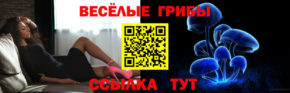 Галлюциногенные грибы мицелий  Псилоцибиновые грибы Psilocybine cubensis  Качканар  Вход с VPN 